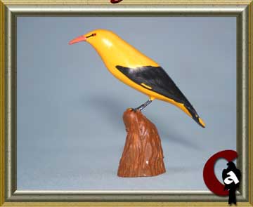 Eurasian golden oriole - Oriolus oriolus